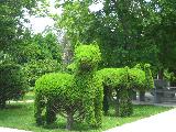 Gatto ed elefante realizzati con foglie in un parco cinese