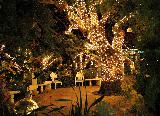 Immagine luci Giardino romantico incantevole con una miriade di luci