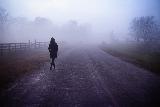 Immagine triste Giornata triste per passeggiare immersi nella nebbia