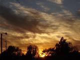 Guardando il cielo al tramonto al di là degli alberi