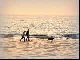 Immagine insieme Insieme al mare con cane e sabbia meravigliosa