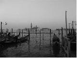 Immagine laguna Laguna di Venezia in bianco e nero che suscita tristezza
