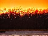 Immagine dietro Luce arancione del tramonto dietro vegetazione