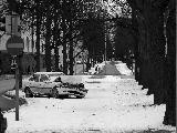 Immagine macchina Macchina fracassata su strada innevata tra alberi spogli a helsinki