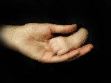 Mano piccola di bambino in mano grande di adulto