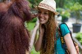 Orangotango che bacia teneramente una giovane ragazza