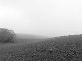 Immagine rende Paesaggio desolato e arido con nebbia che rende tristi