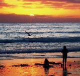 Immagine romantico Paesaggio marino romantico con gabbiano al tramonto