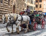 Passeggiata romantica in carrozza a Firenze
