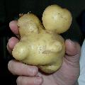 Immagine patata Patata che sembra un simpatico pupazzo