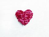 Immagine cuore Petali di rosa che formano un cuore