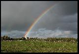 Immagine arcobaleno Pezzo di arcobaleno che si erge da erba verso cielo