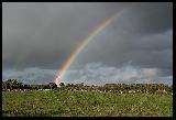 Pezzo di arcobaleno che si erge da erba verso cielo