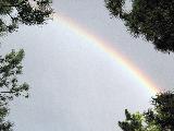 Immagine arcobaleno Pezzo di arcobaleno con alberi intorno