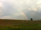 Immagine arcobaleno Piccola porzione di arcobaleno che si innalza dal prato