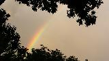 Immagine arcobaleno Piccola porzione di arcobaleno tra le foglie degli alberi