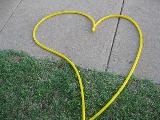 Immagine cuore Pompa gialla a forma di cuore