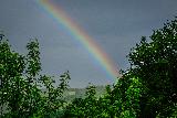 Immagine arcobaleno Porzione di arcobaleno che nasce dal verde degli alberi