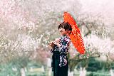 Immagine ombrellino Ragazza giapponese con ombrellino arancione con sfondo di alberi fioriti