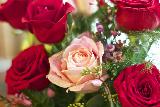 Immagine colore rosso Rose per san valentino di colore rosso e rosa