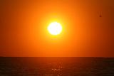 Sole centrale in un cielo arancione con uccelli e mare