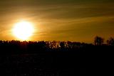 Sole grande al tramonto sulla vegetazione