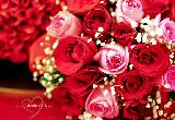 Tante rose rosse e rosa molto romantiche