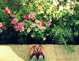 Immagine piedi Tantissimi fiori ai propri piedi