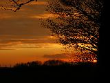 Immagine tronco Tramonto con tronco di albero rinsecchito