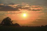 Immagine belle Tramonto pittoresco con belle nubi e vegetazione