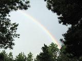 Un piccolo pezzo di arcobaleno in cielo circondato da alberi