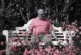 Uomo con maglietta rosa seduto su panchina oltre dei fiori rosa